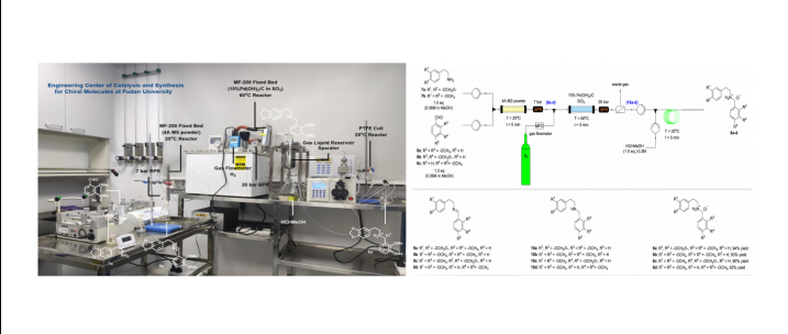 【復(fù)旦連續(xù)加氫案例】采用一正科技MF-200微通道固定床反應(yīng)器實(shí)現(xiàn)連續(xù)加氫案例—— 應(yīng)用對(duì)映選擇性催化氫化實(shí)現(xiàn)四氫小檗堿類(lèi)生物堿的全合成研究